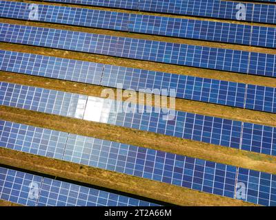 Nahaufnahme eines Solarkraftwerks, das an einem sonnigen Tag Solarstrom über viele Reihen von Solarpaneelen erzeugt, Deutschland Stockfoto