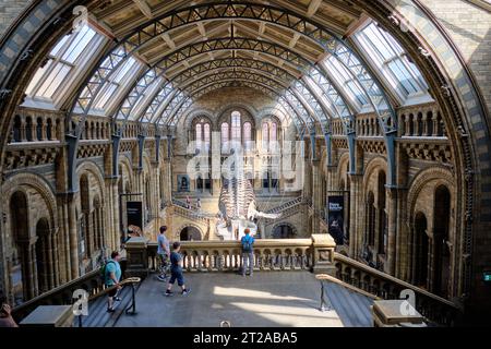 Das Naturkundemuseum beherbergt eine große Auswahl an naturgeschichtlichen Exemplaren, darunter wissenschaftliche Exemplare, die 80 Millionen Gegenstände in 5 Hauptsammlungen umfassen, O Stockfoto