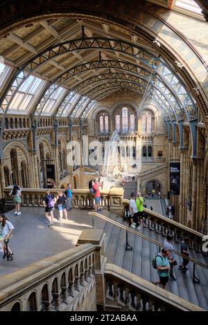 Korridore und Treppen des Natural History Museum in London. 10. Oktober, London, Großbritannien. Stockfoto