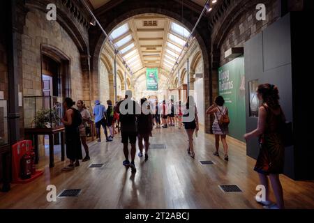 Überfüllte Korridore des Natural History Museum in London. 10. Oktober, London, Großbritannien. Stockfoto