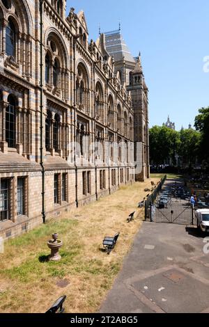 Prächtige Architektur im Herzen des Naturkundemuseums. 10. Oktober, London, Großbritannien. Stockfoto