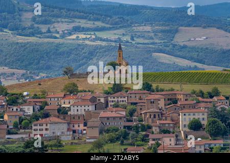 Rhône Vineyard. Blick auf ein Weinfeld auf der Spitze des Hügels und das Dorf Saint Laurent d'Oingt und die dahinter liegende Kapelle Stockfoto