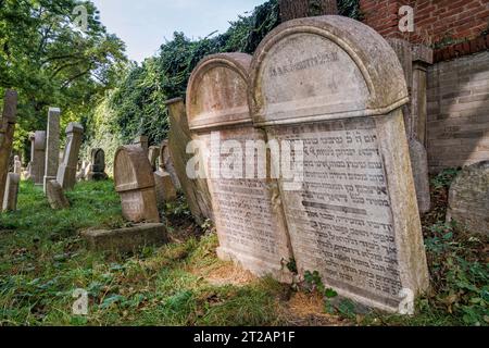 Gräber in Noda bi Yehuda, verbleibender Teil des alten jüdischen Friedhofs (erster jüdischer Friedhof in Olšany) in der Nähe des Fernsehturms in Žižkov, Prag Tschechien Stockfoto