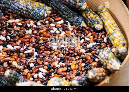 Bunten Bio-Mais und Bohnen in Holzschale auf dem lokalen Bauernmarkt. Natürlicher Kochhintergrund. Selektiver Fokus. Stockfoto