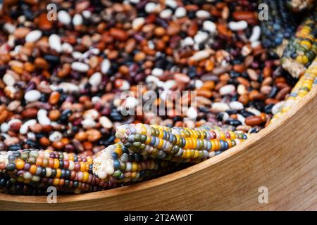 Bunten Bio-Mais und Bohnen in Holzschale auf dem lokalen Bauernmarkt. Natürlicher Kochhintergrund. Selektiver Fokus. Stockfoto