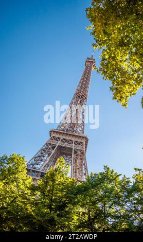 Ein Blick auf den Eiffelturm zwischen einigen Pariser Stadtbäumen und eine schöne Sonnenaufhellung mit einigen ästhetischen Objektivfackeln Stockfoto