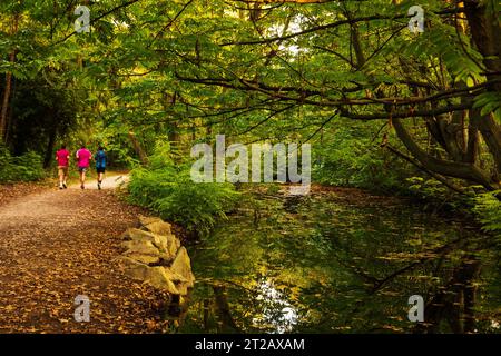 Drei nicht erkennbare (Rückansicht) junge Männer joggen im Wald von Vincennes (Paris, Frankreich) an warmen Herbsttagen. Selektive Fokussierung auf den Vordergrund. Stockfoto