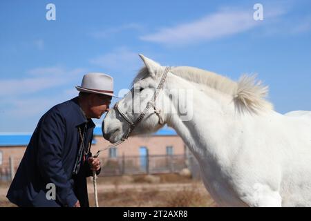 (231018) -- ORDOS, 18. Oktober 2023 (Xinhua) -- Mingan-erdeni küsst eines seiner Pferde in Otog Banner of Ordos, nordchinesischer autonomer Region Innere Mongolei, 16. Oktober 2023. Dorji ist ein 61-jähriger Hirte, der in Otog Banner lebt. Während der Herbstsaison gehört Dorjis tägliche Routine zum Hüten von Pferden und Ziegen. Er hat über 200 Arabas Kaschmirziegen, die eine solide wirtschaftliche Rendite bieten. In seiner Freizeit nimmt Dorji mit seinem 91-jährigen Vater Mingan-erdeni an einer lokalen kulturellen Aktivität namens „Nair“ Teil. „Nair“ geht auf die Yuan-Dynastie (1271–1368) zurück und ist eine Form der Volkskunst Stockfoto