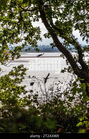 Sharpness Docks vom Forest of Dean Side Stockfoto
