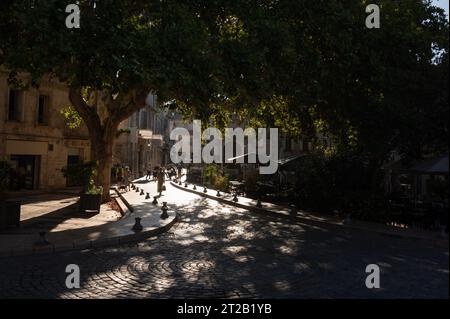 Die Menschen laufen entlang einer Kopfsteinpflasterstraße in der Altstadt von Avignon, während das warme Sonnenlicht durch die Bäume scheint Stockfoto