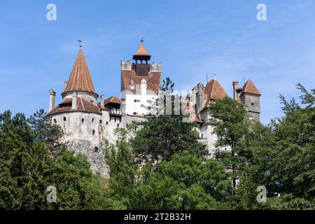 Mittelalterliche Burg Bran (Castelul Bran), bekannt als Draculas Burg, in Bran, Siebenbürgen, Rumänien, hinter grünen Bäumen vor blauem Himmel Stockfoto