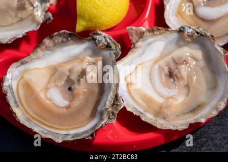 Oyster Farm In Der Bucht Von Morlaix, Bretagne Stockfoto