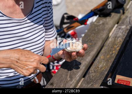 Oyster Farm In Der Bucht Von Morlaix, Bretagne Stockfoto