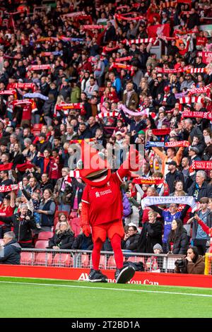 Liverpool FC gegen Everton FC - Barclays Super League für Damen LIVERPOOL, ENGLAND - 15. OKTOBER 2023. Teambild und Handschlag mit Ref und Opposition. Stockfoto