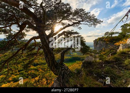 Schweiz, Gempen SO, Schartenflue, abendliche Atmosphäre, Slackliner, Schwarzbubenland, Solothurn, Gempen Stockfoto