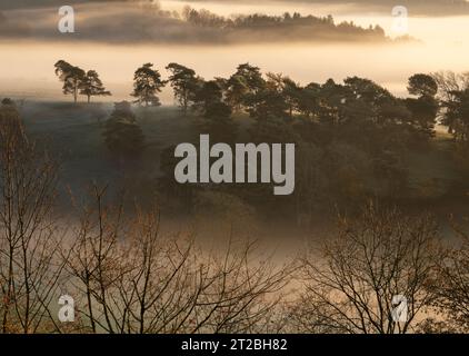 Dramatische Nebelbedingungen bei Sunrise im Clun Valley, South Shropshire, England, Großbritannien Stockfoto