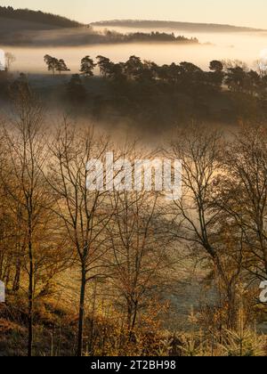 Dramatische Nebelbedingungen bei Sunrise im Clun Valley, South Shropshire, England, Großbritannien Stockfoto