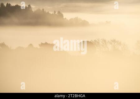 Dramatische Nebelbedingungen bei Sunrise im Clun Valley, South Shropshire, England, Großbritannien Stockfoto