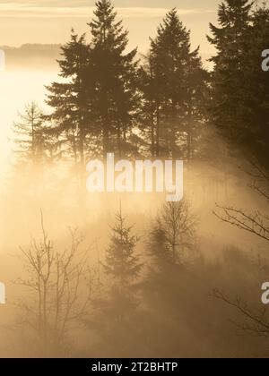 Dramatische Nebelbedingungen bei Sunrise im Clun Valley, South Shropshire, England, Großbritannien Stockfoto