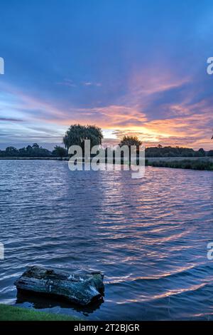 Blaue Stunde vor Sonnenaufgang im Oktober am Bushy Park Ponds in Surrey, Großbritannien Stockfoto