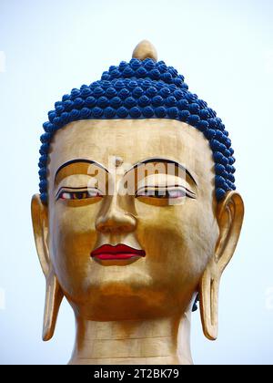 Bronze großer Buddha Dordenma in den Bergen von Bhutan bei Thimphu Stockfoto