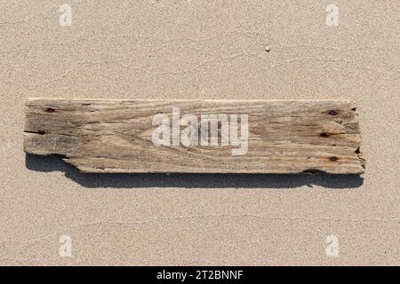 Meer Drift Holzplanke isoliert auf Strand Sand Hintergrund. Vorlagenmodell Stockfoto
