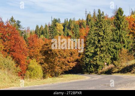 Straße durch bewaldete Landschaft im Herbst. Bäume in Herbstfarben. Bergige ländliche Gegend an einem sonnigen Tag Stockfoto