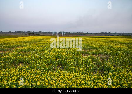 Verbrennung landwirtschaftlicher Abfälle - Smog und Verschmutzung. Schädliche Emissionen durch die Verbrennung von Heu und Stroh in landwirtschaftlichen Feldern. Chandpur, Bangladesch Stockfoto