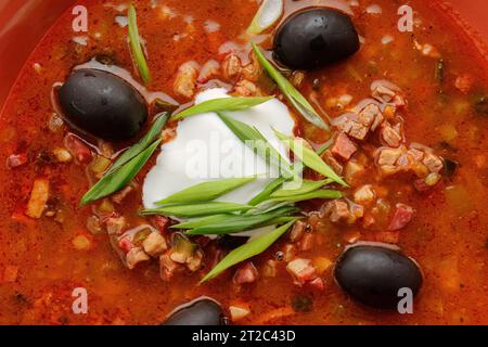 Ukrainische Suppe solyanka mit Fleisch, Oliven, Sauerrahm, Kräutern und Zitrone Stockfoto