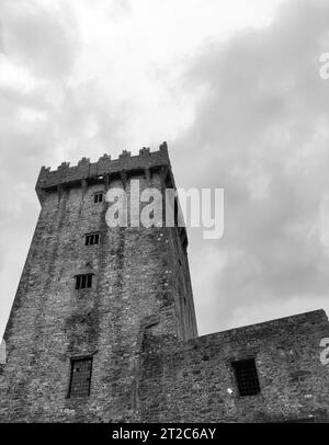 Alte keltische Hausmauer, Blarney Castle in Irland, alte keltische Festung Stockfoto