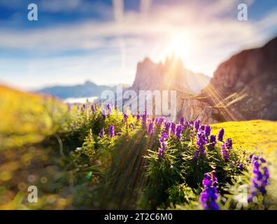 Toller Blick auf die Geisler-Gruppe. Nationalpark Tal Gröden. Dolomiten, Südtirol. Standort St. Ulrich, Italien, Europa. Dramatische Vormittagsstunden Stockfoto