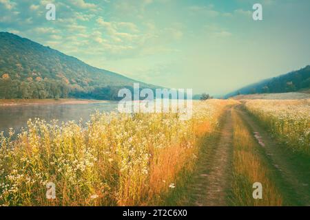 Fantastischer, nebliger Fluss mit frischem Gras im Sonnenlicht. Dramatische ungewöhnliche Szene. Warmer Sonnenuntergang auf Dnister. Ukraine, Europa. Beauty-Welt. Retro und vint Stockfoto