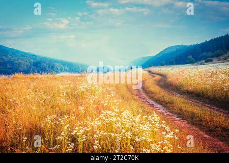Fantastischer, nebliger Fluss mit frischem Gras im Sonnenlicht. Dramatische ungewöhnliche Szene. Warmer Sonnenuntergang auf Dnister. Ukraine, Europa. Beauty-Welt. Retro und vint Stockfoto