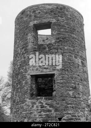 Alter keltischer Turm, Blarney Castle in Irland, alter architektonischer Hintergrund Stockfoto