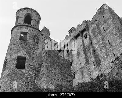 Alte keltische Hausmauer, Blarney Castle in Irland, alte keltische Festung Stockfoto