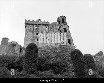 Alte keltische Hausmauer, Blarney Castle in Irland, alte keltische Festung Stockfoto