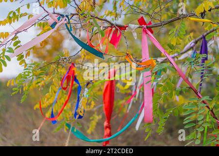 Baum mit farbigen Seilen und Notizen auf Kleiderschränken im Sonnenlicht dekoriert. Bunte Bänder an Zweigen eines Baumes gegen den Himmel. Traditionelles wi Stockfoto