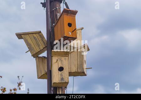 Viele bunte Vogelhäuser auf einem Metallmast vor der Kulisse des Parks. Das Konzept der Urbanisierung und Überbevölkerung. Helle mehrfarbige wo Stockfoto