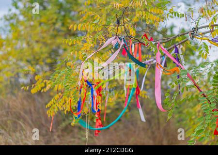 Baum mit farbigen Seilen und Notizen auf Kleiderschränken im Sonnenlicht dekoriert. Bunte Bänder an Zweigen eines Baumes gegen den Himmel. Traditionelles wi Stockfoto