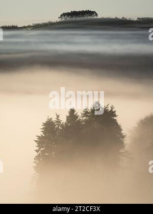 Dramatische Nebelbedingungen bei Sunrise im Clun Valley, South Shropshire, England, Großbritannien Stockfoto