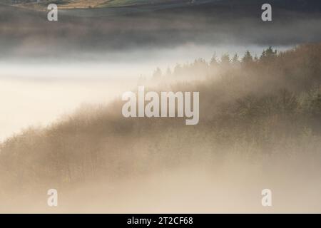 Dramatische Nebelbedingungen bei Sunrise im Clun Valley, South Shropshire, England, Großbritannien Stockfoto