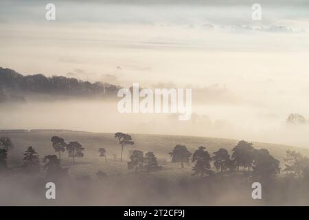 Dramatische Nebelbedingungen bei Sunrise im Clun Valley, South Shropshire, England, Großbritannien Stockfoto