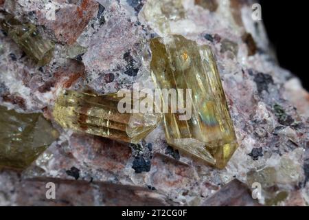 Nahaufnahme von Apatitkristallen aus Mexiko im Wirtsgestein. Schwarze Rückseite. Stockfoto
