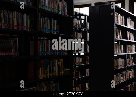 Regale mit Büchern in einer Bibliothek mit natürlichem Licht aus dem Hintergrund Stockfoto
