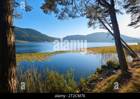 Bolu, Türkei - 16. Oktober 2023: Blick auf den Abant Lake. Landschaft des Sees und Gebirgszuges bedeckt von Kiefern im Abant National Park Stockfoto