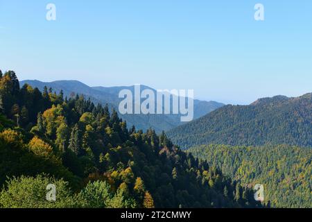 Bolu, Türkei - 16. Oktober 2023: Herbstwaldlandschaft im Yedigoller-Nationalpark, was sieben Seen bedeutet Stockfoto