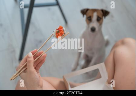 Eine Frau sitzt auf dem Sofa und isst Brötchen. Jack Russell Terrier Hund sitzt auf dem Boden und bittet um Essen von seinem Besitzer. Stockfoto