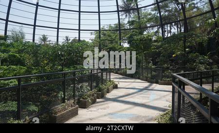 Blick in eine große Volierenkuppel und einen botanischen Garten mit gebogenem Stahl in Form einer Kuppel Stockfoto