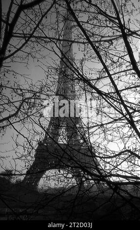 Der Eiffelturm, der durch Bäume entlang der seine in Paris, Frankreich, gesehen wird Stockfoto