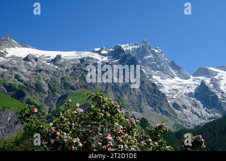 La Grave La Meije Ski-Resort abseits der Pisten, einzigartig in den Alpen mit einzeln gepflegtem Abhang auf dem Gletscher, Freeride, Blick auf den Gipfel La Meije, Massif des Ecrins, H Stockfoto